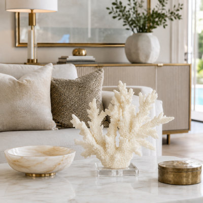Decorative Coral | Wayfair